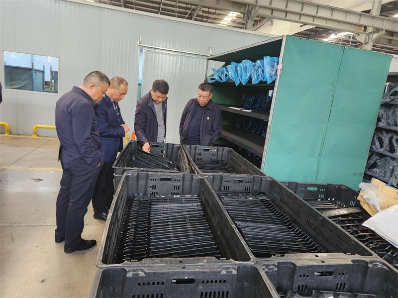 1761100422308628.jpg 5.jpg